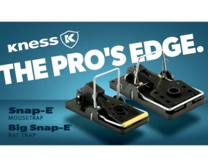 Graphic showcasing Snap-E and Big Snap-E