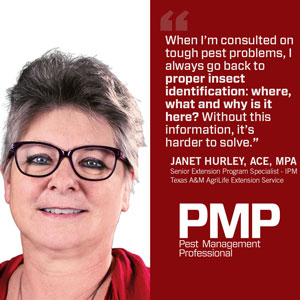 Graphic: Janet Hurley/PMP Staff