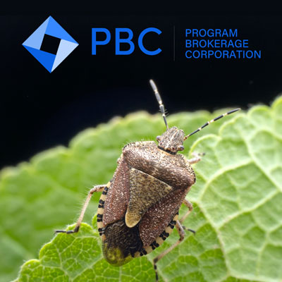 IMAGE: PBC