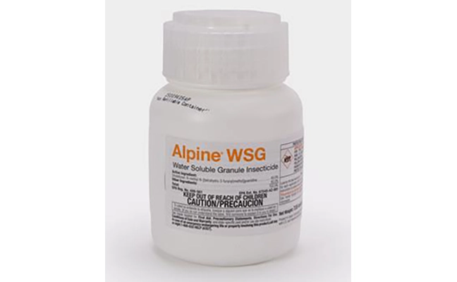 BASF Alpine WSG