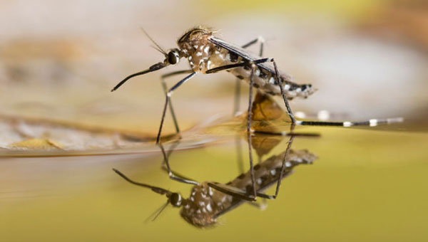 PHOTO: DOUG4537/E+/GETTY IMAGES