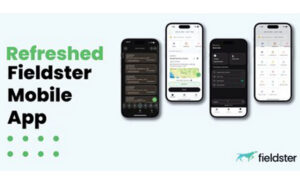 IMAGE: FIELDSTER