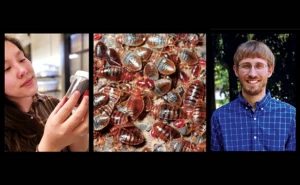 Drs. Johnalyn Gordon (left) and Zachary DeVries (right) explore potential human health impacts of bed bugs, and recently identified tropomyosin, a known pan-allergen, in bed bugs. PHOTO: UNIVERSITY OF KENTUCKY