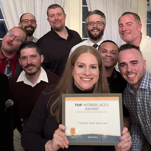 Members of Thomas Pest Services celebrate the company being named a Top Workplace by the Times Union for the second year in a row. PHOTO: THOMAS PEST SERVICES