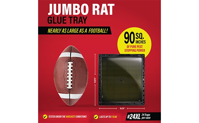 graphic comparing Jumbo tray to football