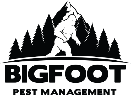 LOGO: BIGFOOT PEST MANAGEMENT
