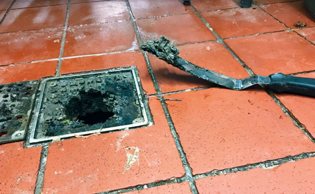Fig. 6. Don’t rely on sprayable products alone. If the organic matter supporting the larvae can be physically removed during a service, the results will be better. This drain was producing hundreds of dark-eyed vinegar flies and the employees weren’t able to properly clean it. If the service isn’t priced for this kind of work, consider offering it to the client as an add-on.