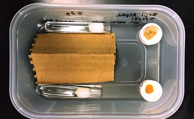 Please Fill Out The Following Fields.