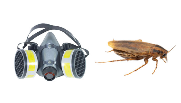 Photo: Pakphoto/iStock / Getty Images Plus/Getty Images + © Gene White