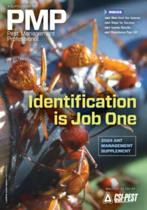 Ant management 2024 feature cover