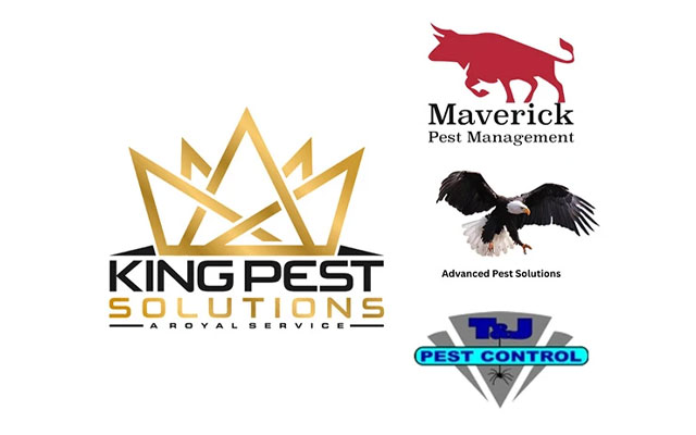 IMAGE: KINGS PEST SOLUTIONS