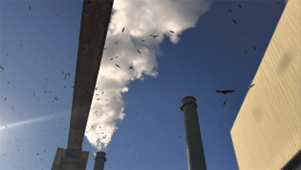 Fig. 2. Approximately 200 vultures are visible in this photo from Feb. 3, 2025. It shows less than half of the total present.