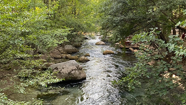 IMAGE: PEXELS / Gülüzar Topal