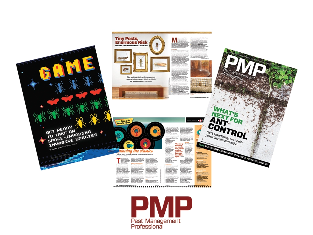 IMAGE: PMP STAFF