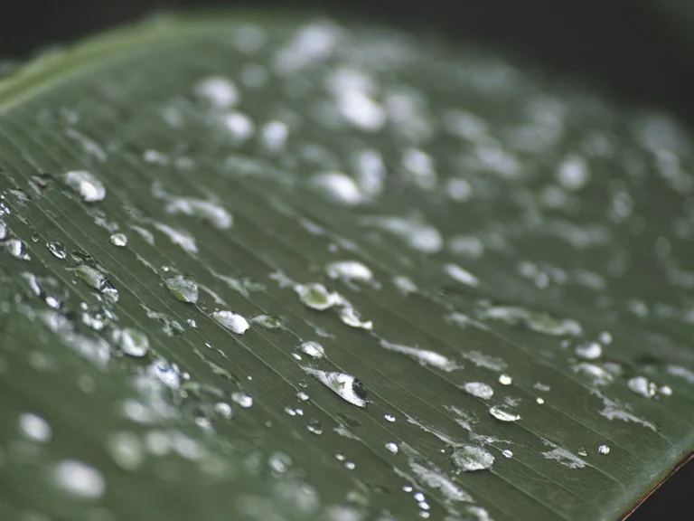 IMAGE: PEXELS / Connor Scott McManus