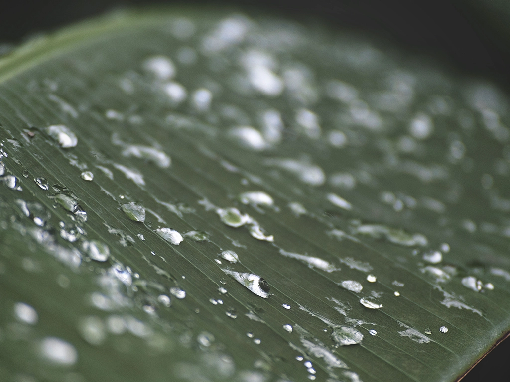 IMAGE: PEXELS / Connor Scott McManus