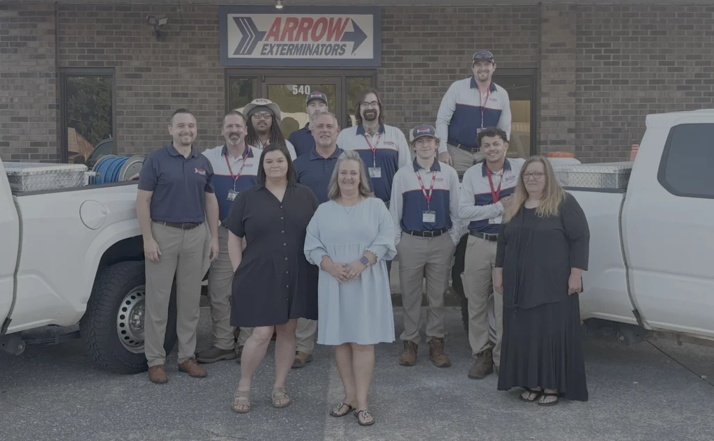 Group photo of Arrow's Jasper team.