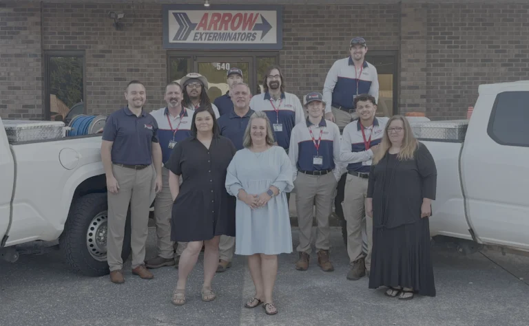 Group photo of Arrow's Jasper team.