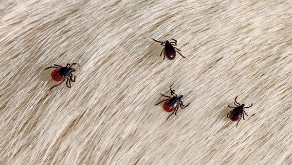 (PHOTO: Andreas Häuslbetz/iStock/Getty Images Plus)