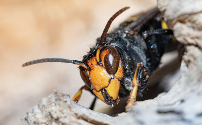 Photo: imv / iStock / Getty Images Plus / Getty Images