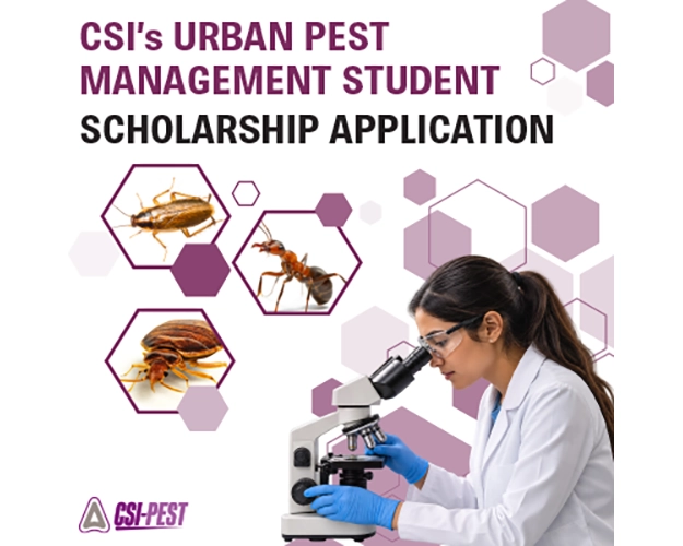 CSI graphic for scholarship application