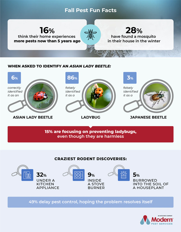 IMAGE: MODERN PEST SERVICES