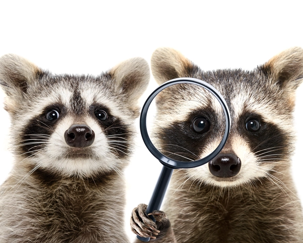(PHOTO: Sonsedska/iStock / Getty Images Plus)
