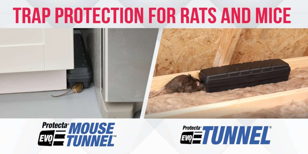 Trap Protection for Rats and Mice