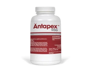 Antapex WSG