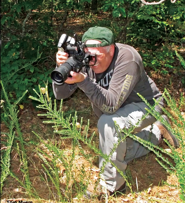Gene White’s photos of pests both in the wild and under a microscope are still used by PMP today. (Photo: White Family)